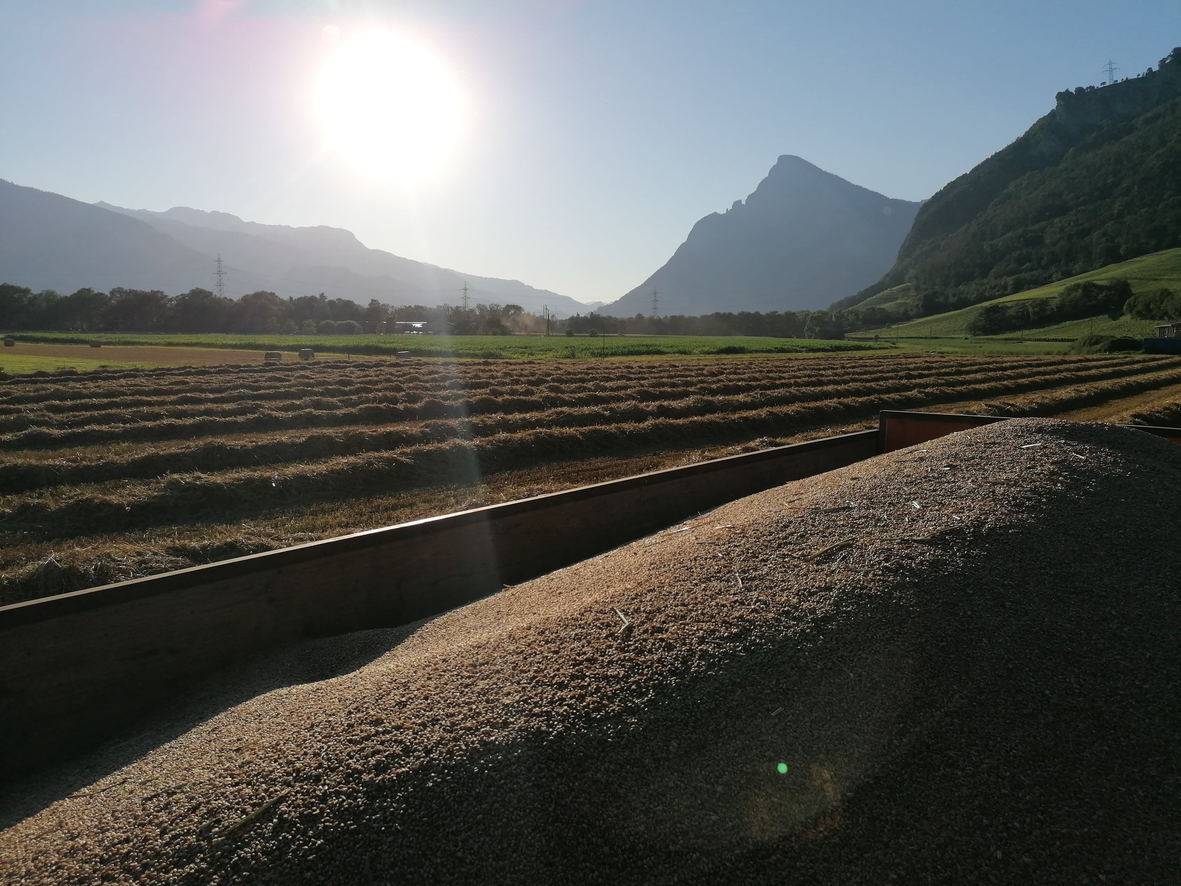 Sonnenuntergang über den Feldern