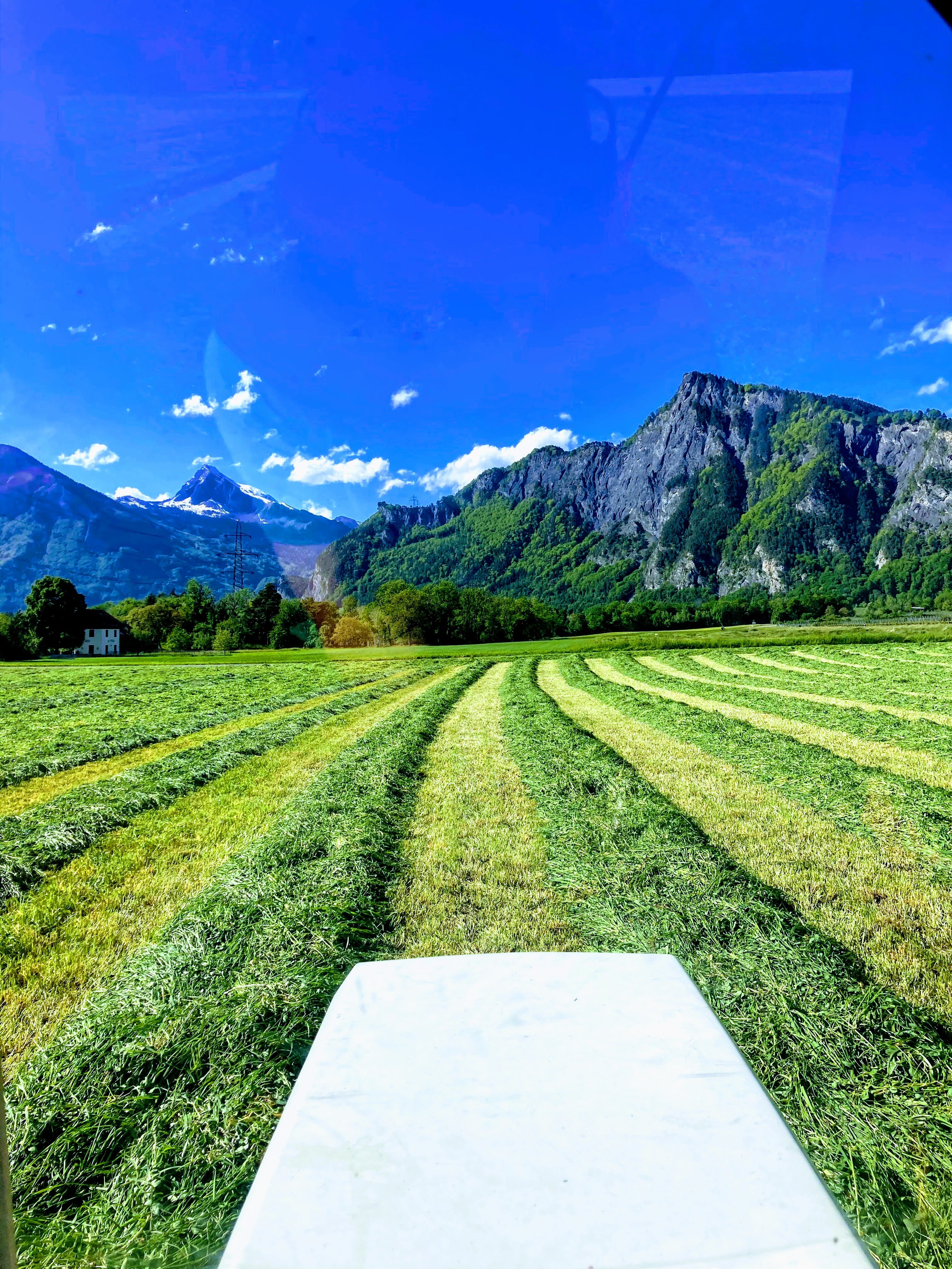 Feld mit Bündner Bergen im Hintergrund